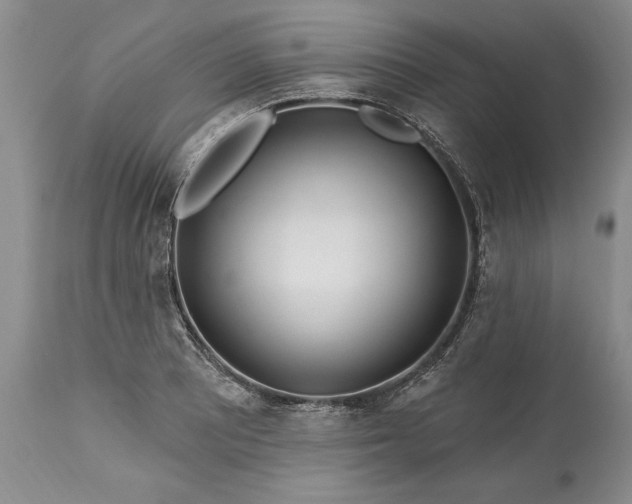 X0000113581081200910021646