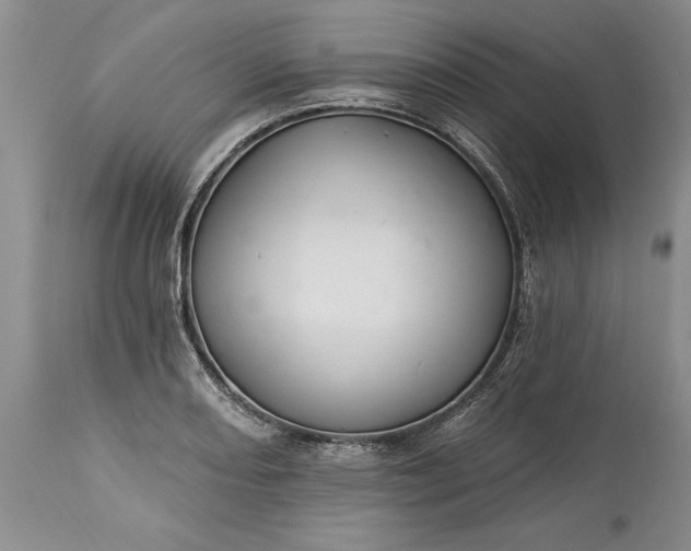 X0000113581082200910021646