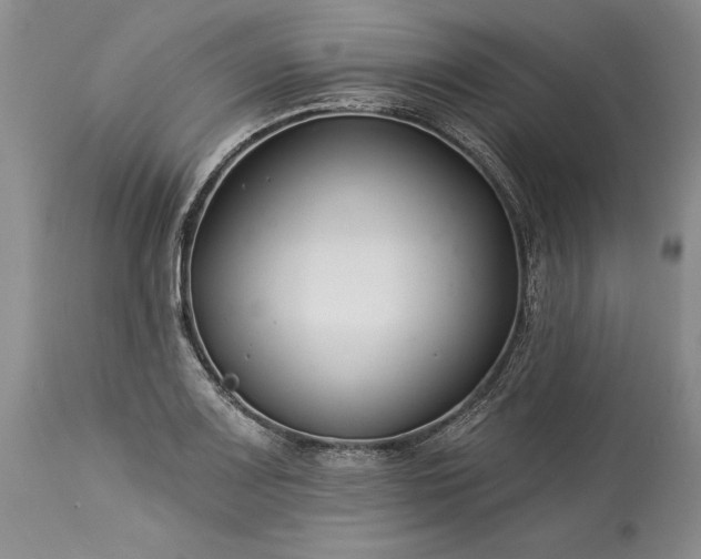 X0000113581083200910021646