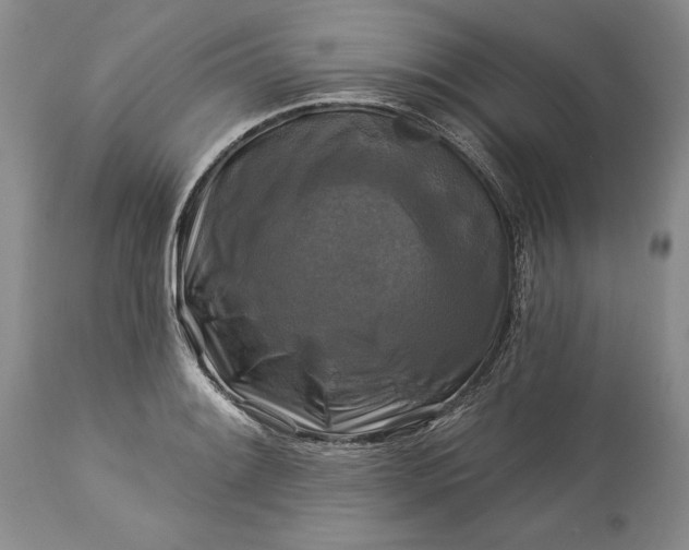 X0000113581084200910021646