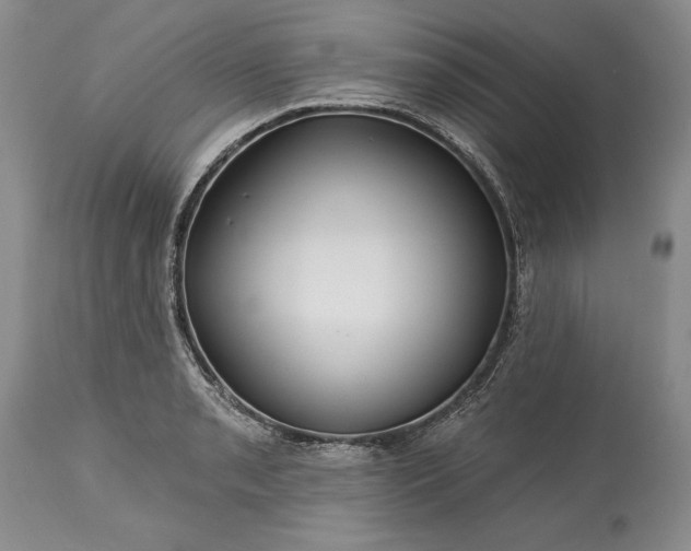 X0000113581085200910021646