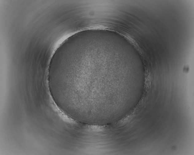 X0000113581086200910021646