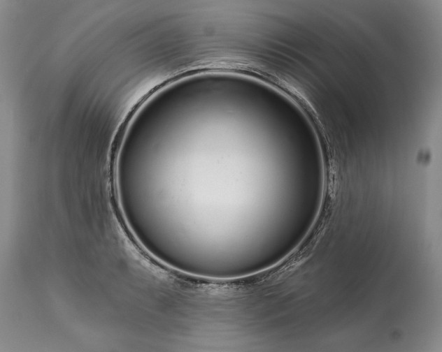 X0000113581087200910021646