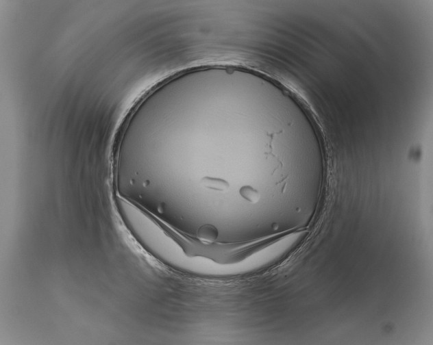 X0000113581088200910021646