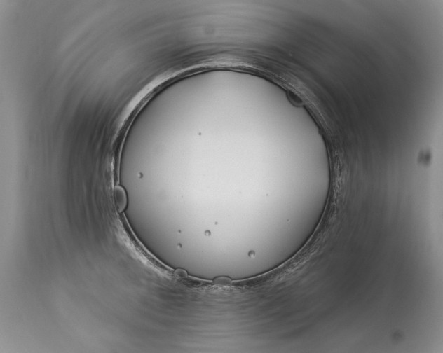 X0000113581092200910021646