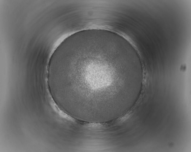 X0000113581094200910021646