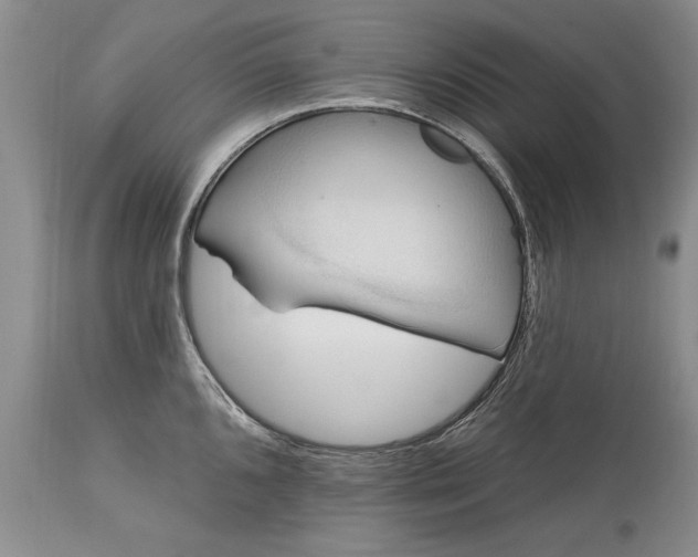 X0000113581096200910021646