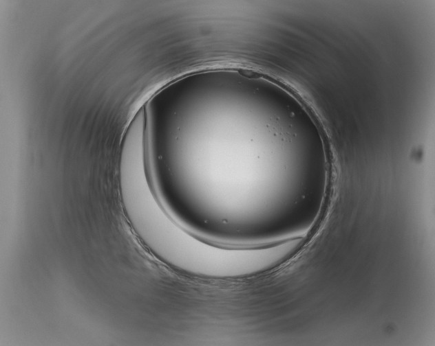 X0000113581097200910021646