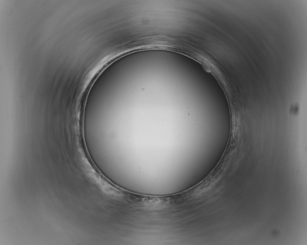 X0000113581099200910021646