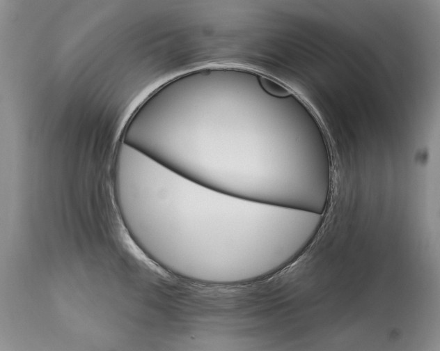 X0000113581100200910021646