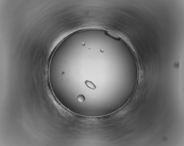 X0000113581101200910021646