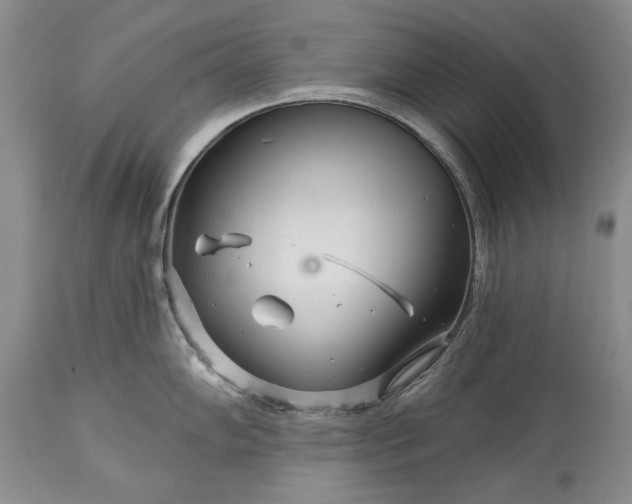 X0000113581102200910021646