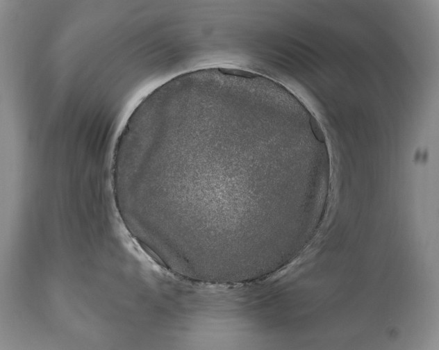 X0000113581104200910021646