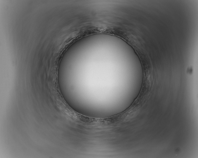 X0000113581105200910021645