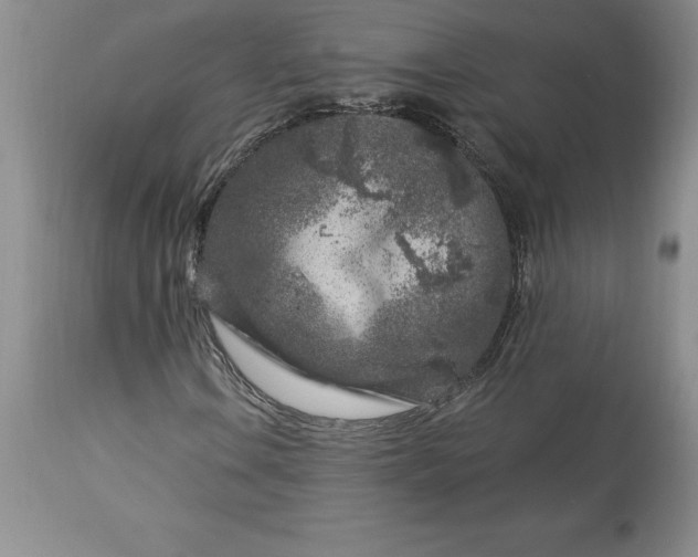 X0000113581106200910021645