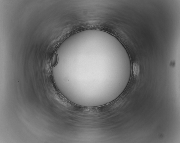 X0000113581107200910021645