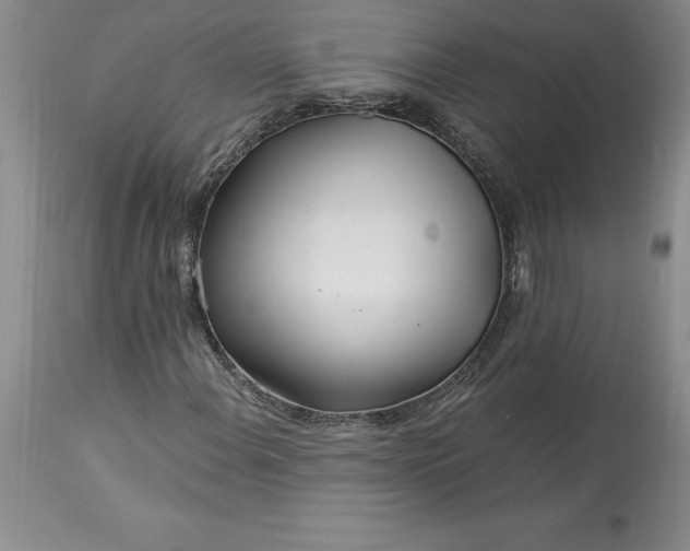 X0000113581108200910021646