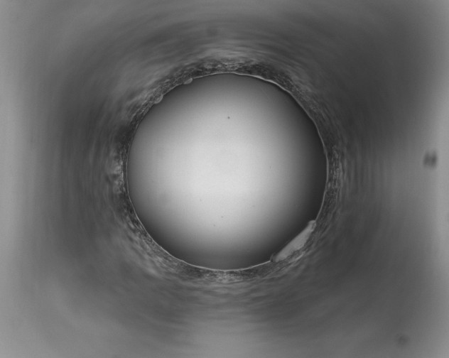 X0000113581109200910021646