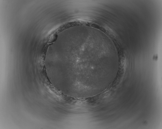 X0000113581110200910021646