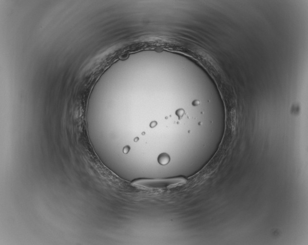 X0000113581111200910021646