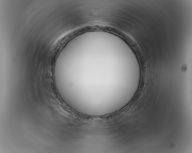 X0000113581112200910021646