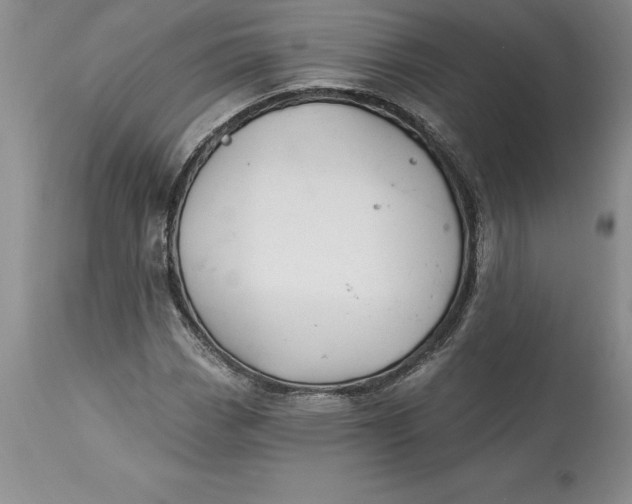 X0000113581113200910021646