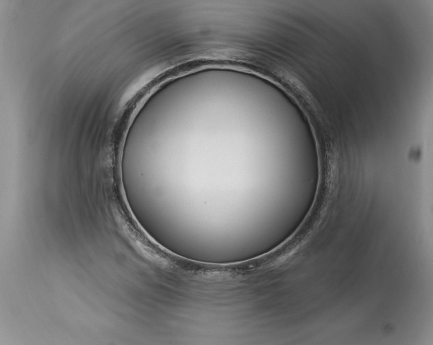 X0000113581114200910021646