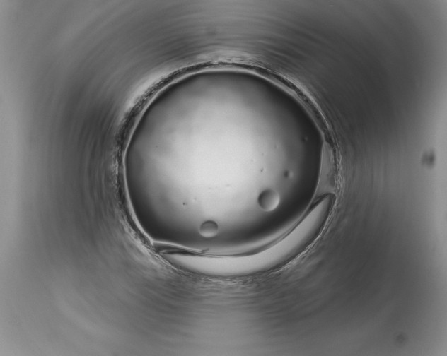 X0000113581115200910021646