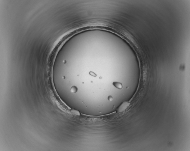 X0000113581116200910021646