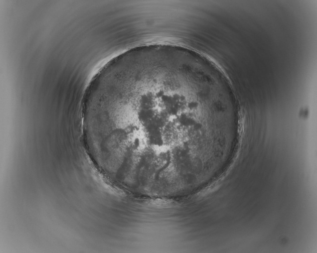 X0000113581117200910021646