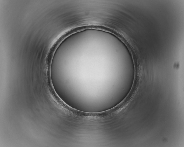 X0000113581118200910021646