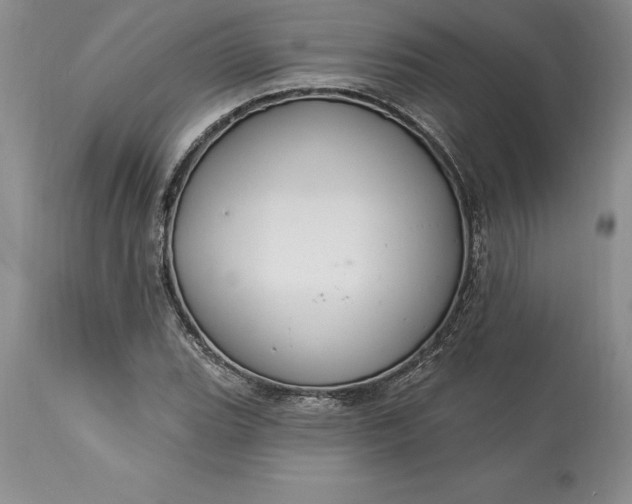 X0000113581119200910021646