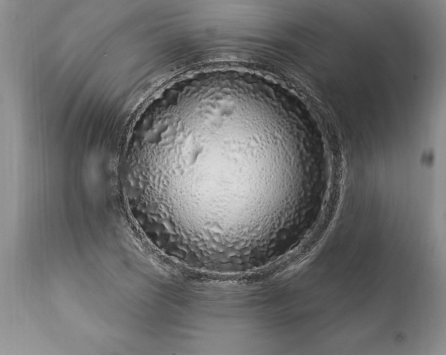 X0000113581121200910021646