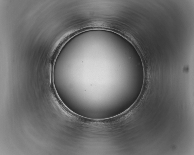 X0000113581123200910021646