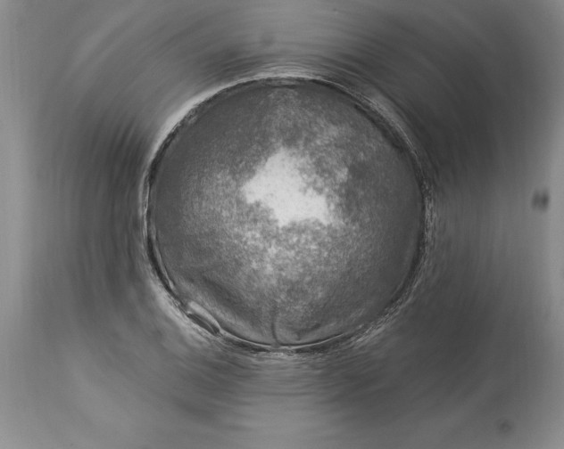 X0000113581124200910021646