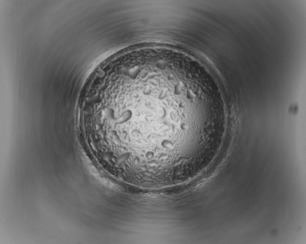 X0000113581125200910021646