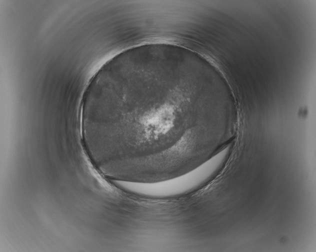 X0000113581127200910021646