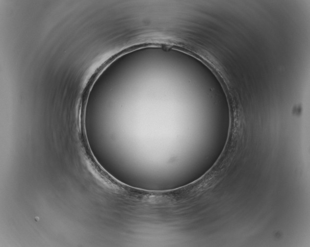 X0000113581128200910021646