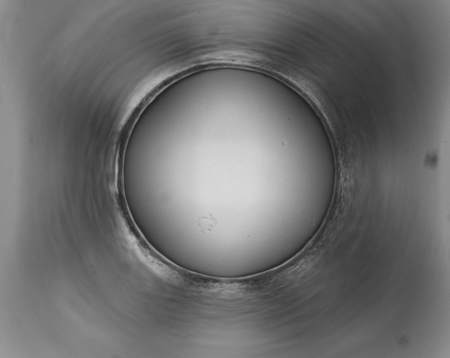 X0000113581131200910021646