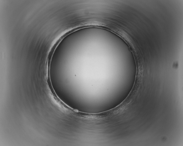 X0000113581132200910021646