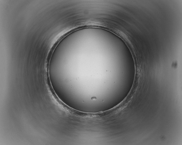 X0000113581133200910021646