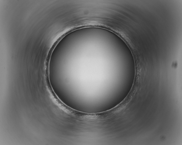 X0000113581134200910021646