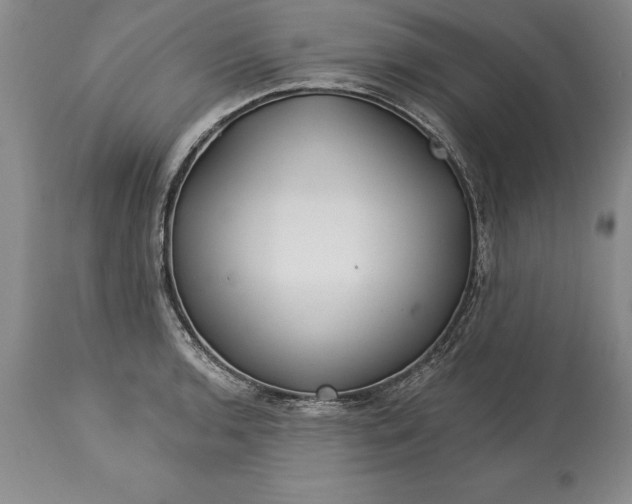 X0000113581136200910021646