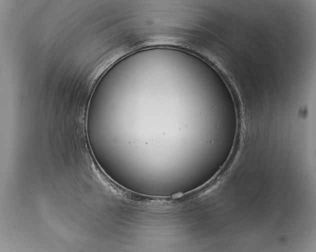 X0000113581137200910021646