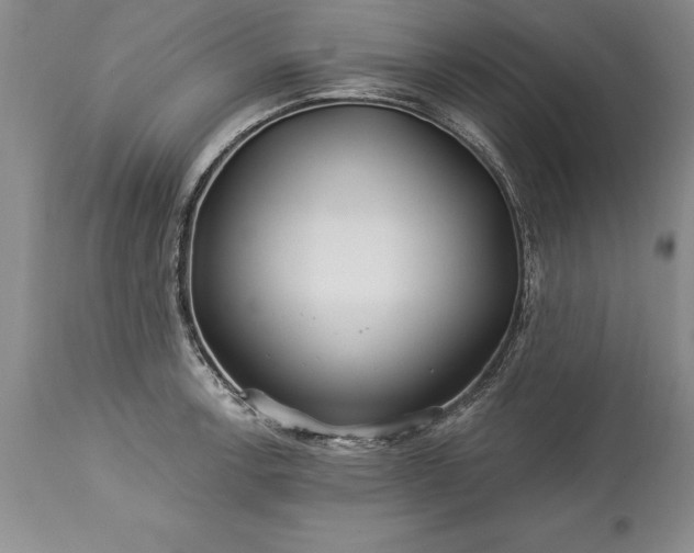 X0000113581138200910021646