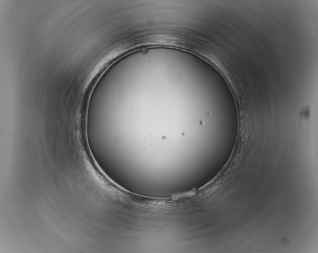 X0000113581139200910021646