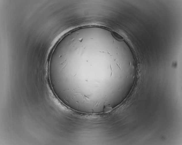 X0000113581140200910021646