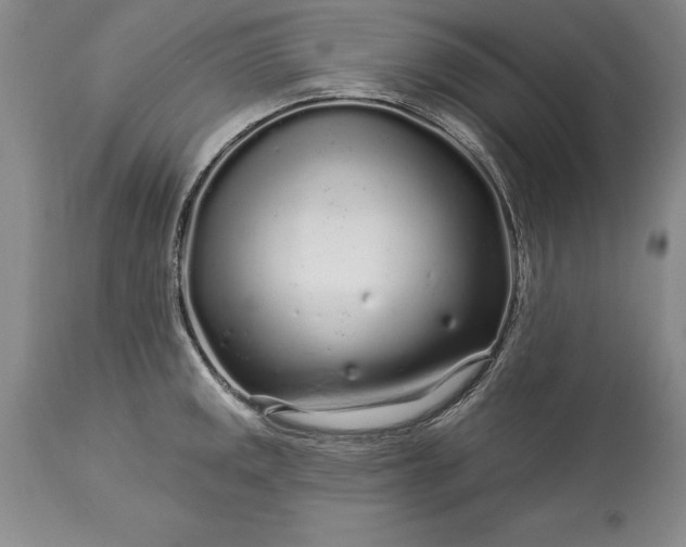 X0000113581141200910021646