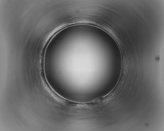 X0000113581142200910021646