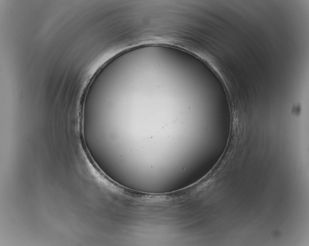 X0000113581143200910021646